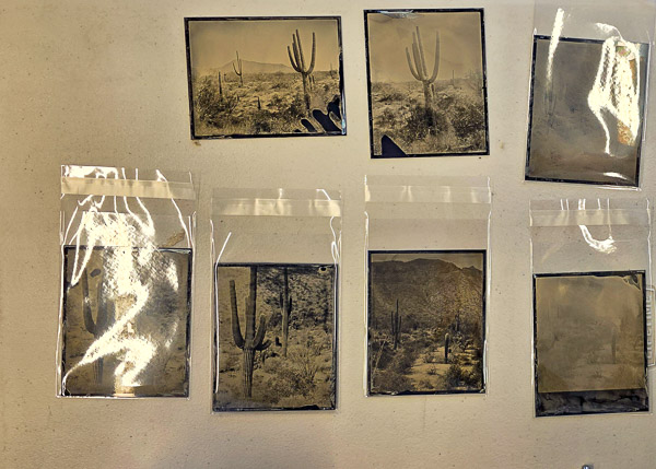 COMO - Reviewing plates I created